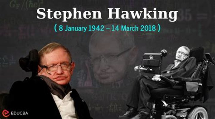 Exploring Timothy Hawking's Biography, Facts, And Relationship With Stephen Hawking